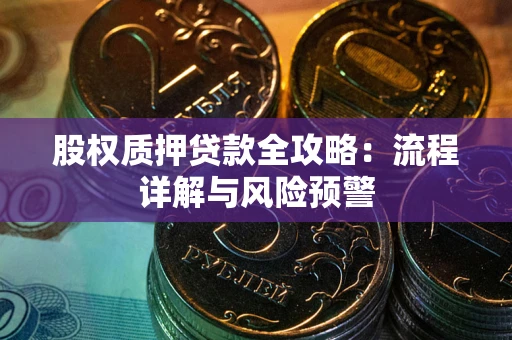 北京股权质押贷款全攻略：流程详解与风险预警