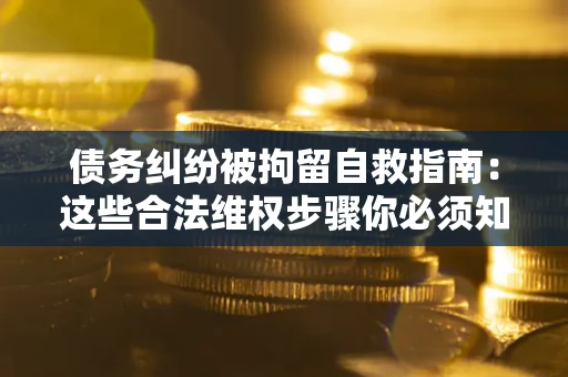 北京债务纠纷被拘留自救指南：这些合法维权步骤你必须知道！