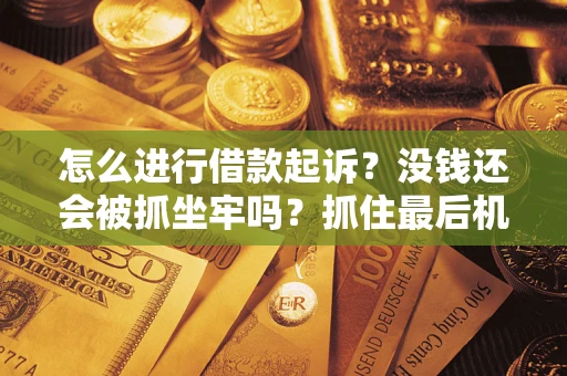 北京怎么进行借款起诉？没钱还会被抓坐牢吗？抓住最后机会！