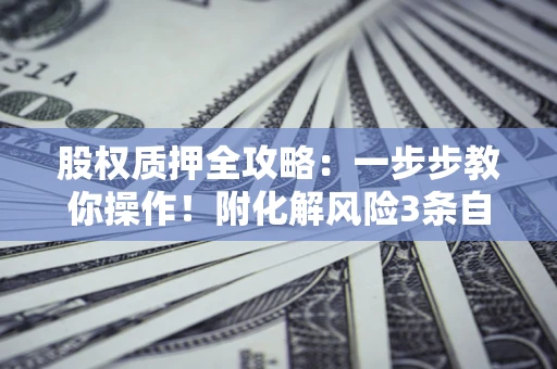 北京股权质押全攻略：一步步教你操作！附化解风险3条自救法则