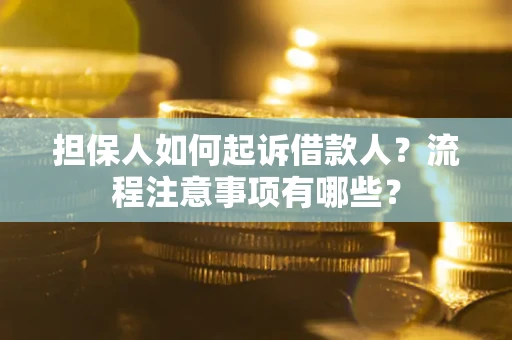 北京担保人如何起诉借款人？流程注意事项有哪些？